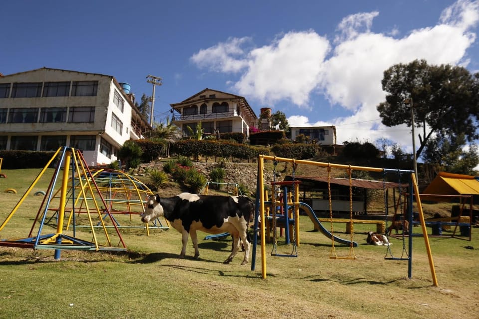 Day, Natural landscape, Children play ground