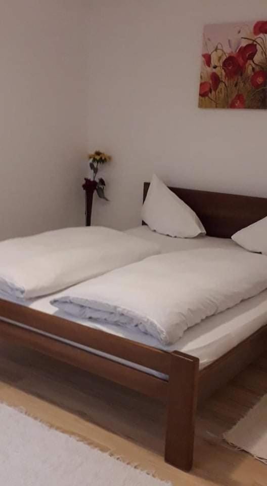 APARTMAN MILICA Apartment in Serbia