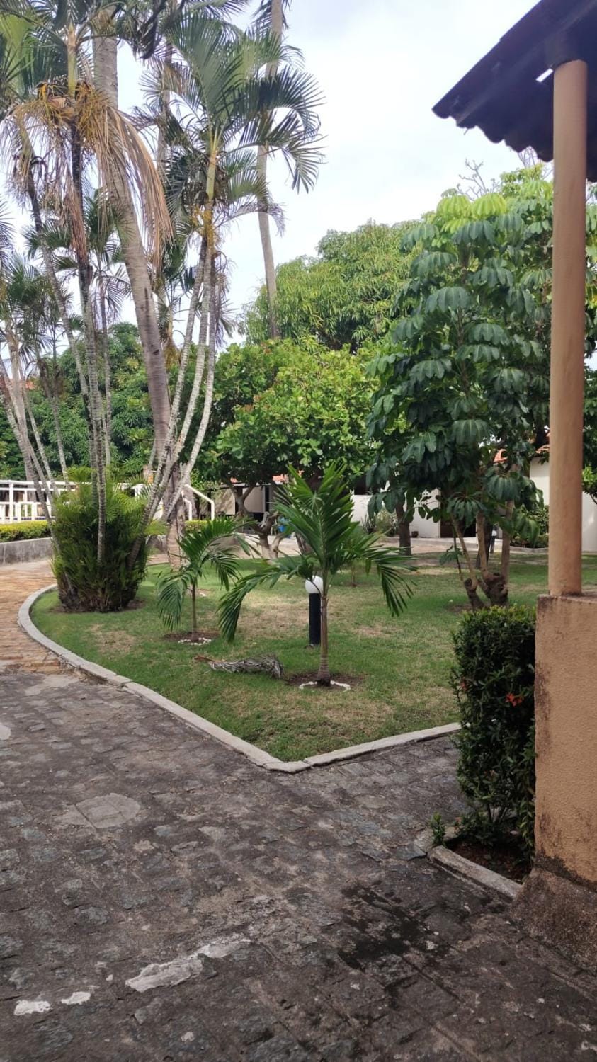 Natural landscape, Garden, Garden view