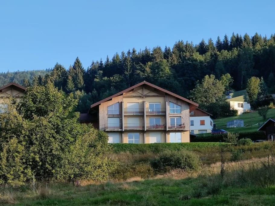 Le Cozy du Poli, Résidence Le Haut des Lacs Apartment in Xonrupt-Longemer
