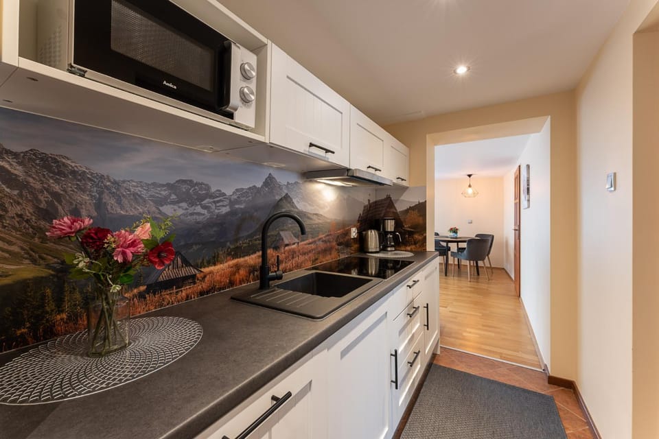 Kitchen or kitchenette, kitchen