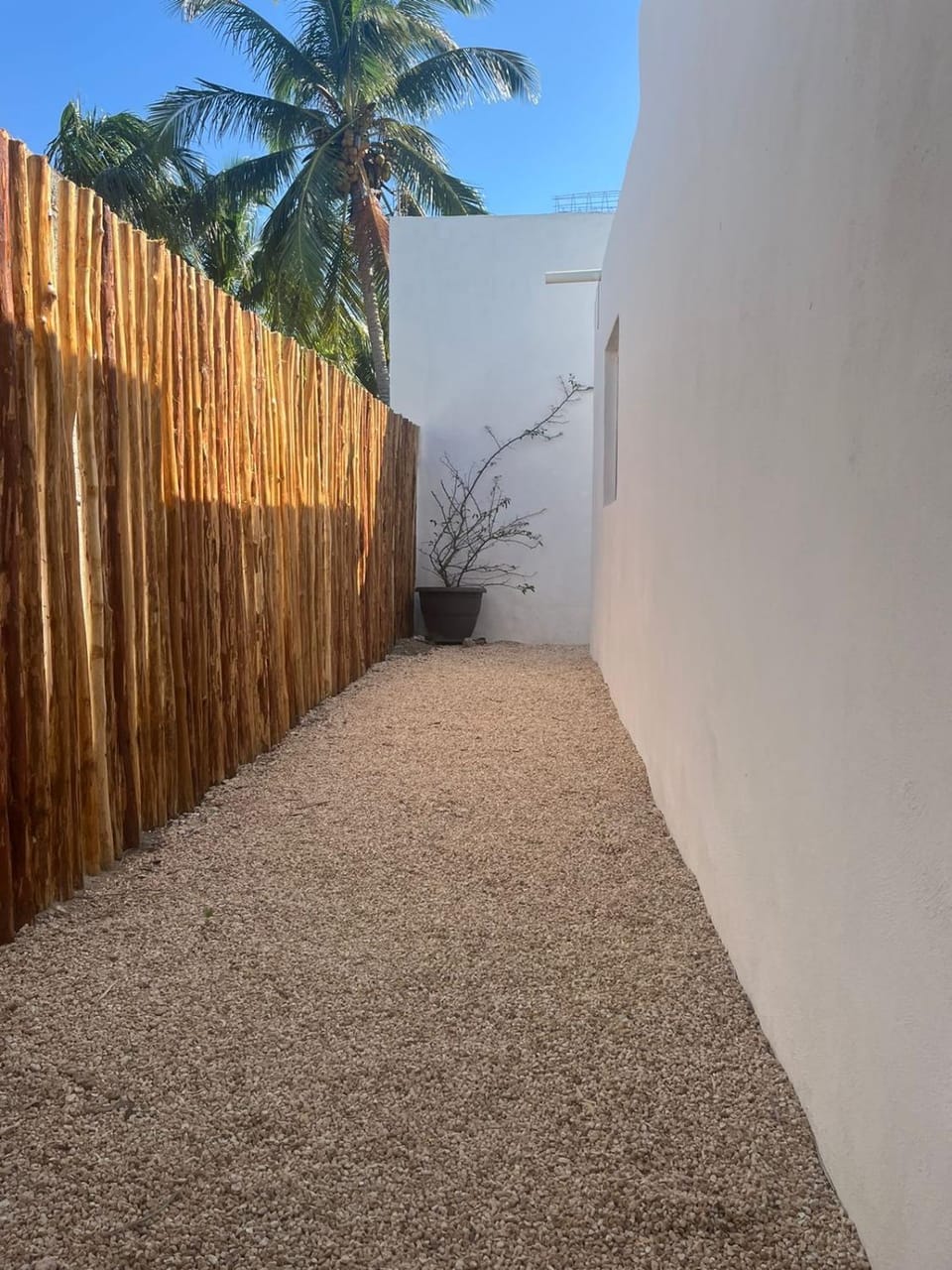 Casa Colibrí El Cuyo Apartment hotel in State of Quintana Roo