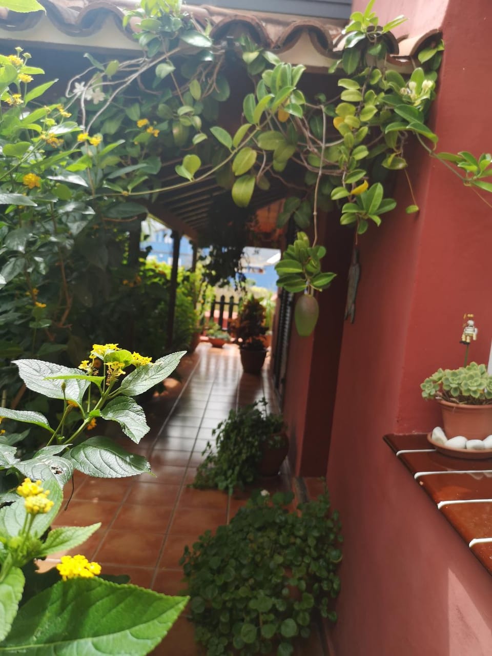 Villa La Victoria Country House in Canary Islands