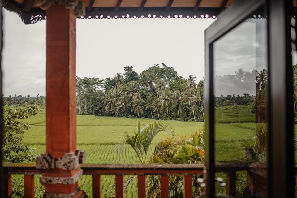 View (from property/room)