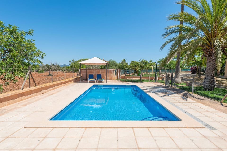 Pool view, Swimming pool, sunbed