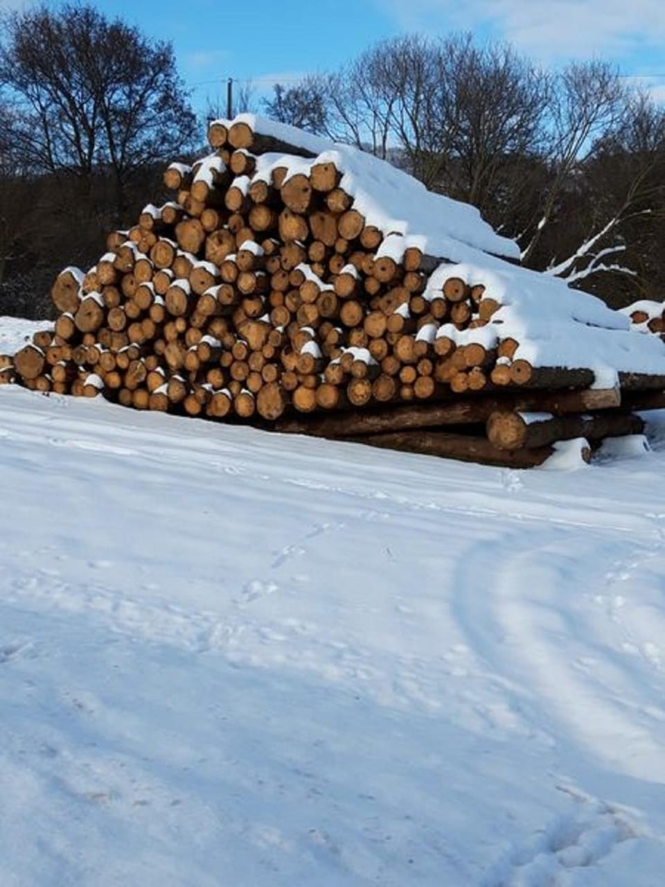 Natural landscape, Winter