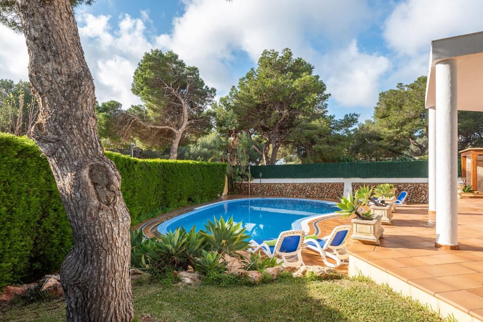 Patio, Garden, Garden view