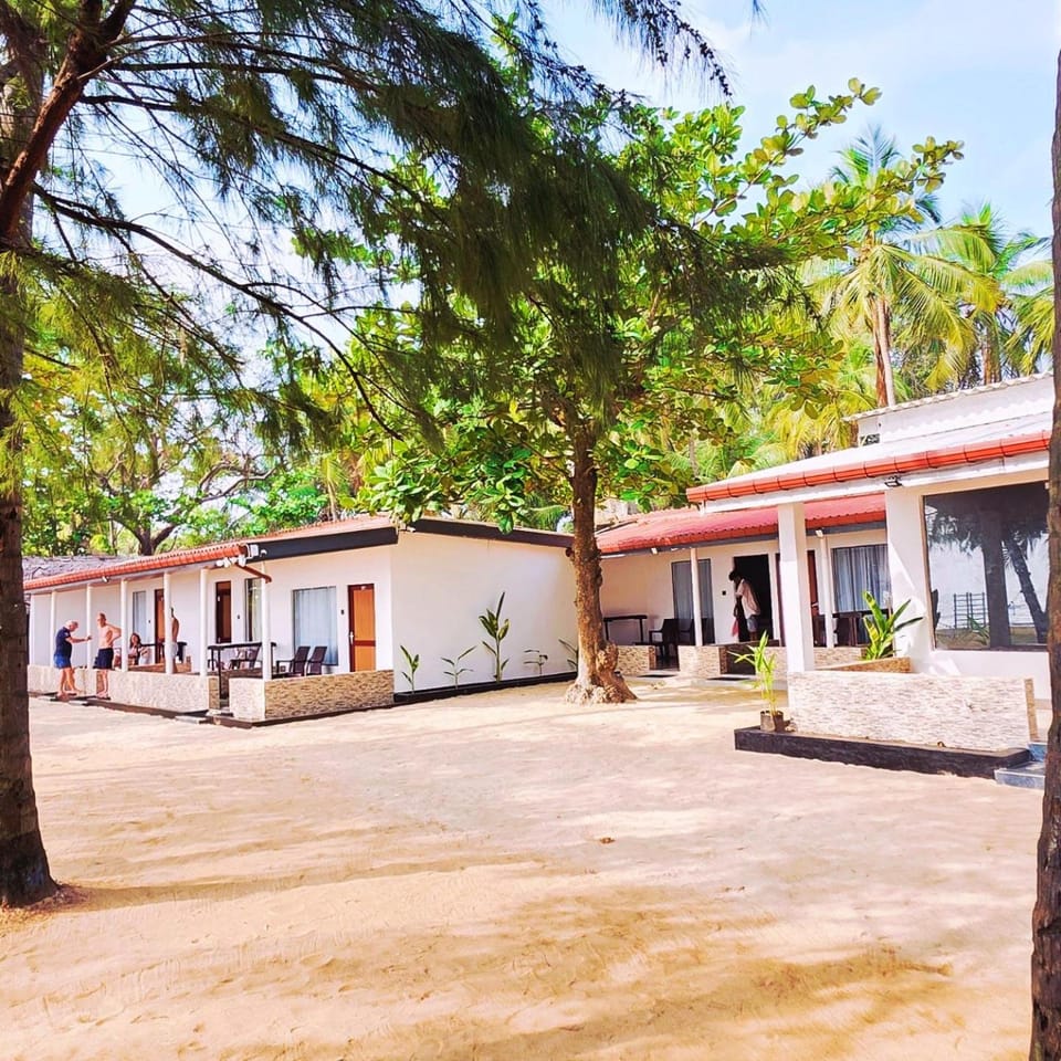 Property building, Day