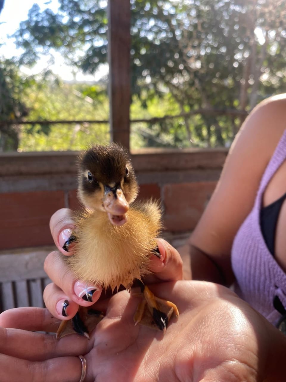 Pousada Fazendinha Beach Club Arraial do Cabo Farm Stay in State of Rio de Janeiro