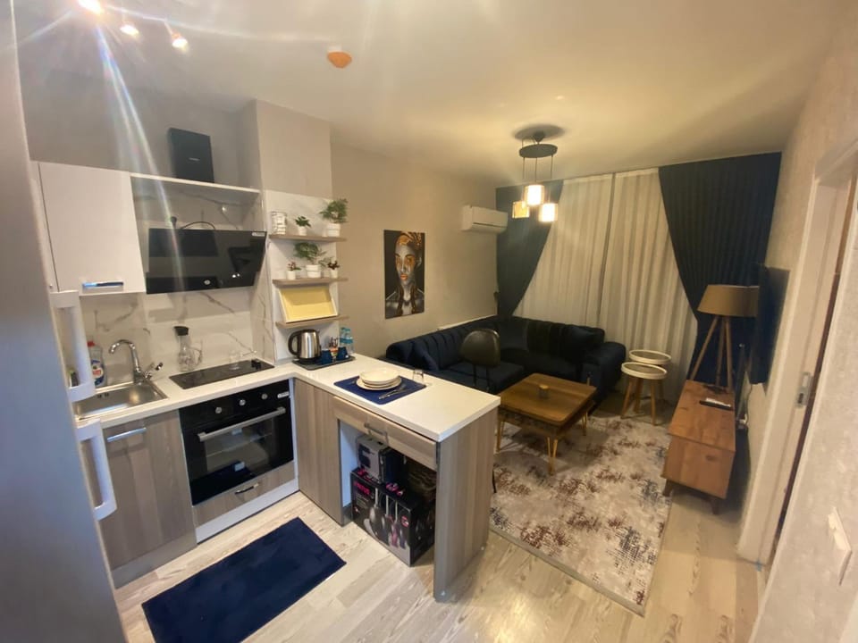 Kitchen or kitchenette, Living room, Seating area, Dining area, oven, pet friendly, stove