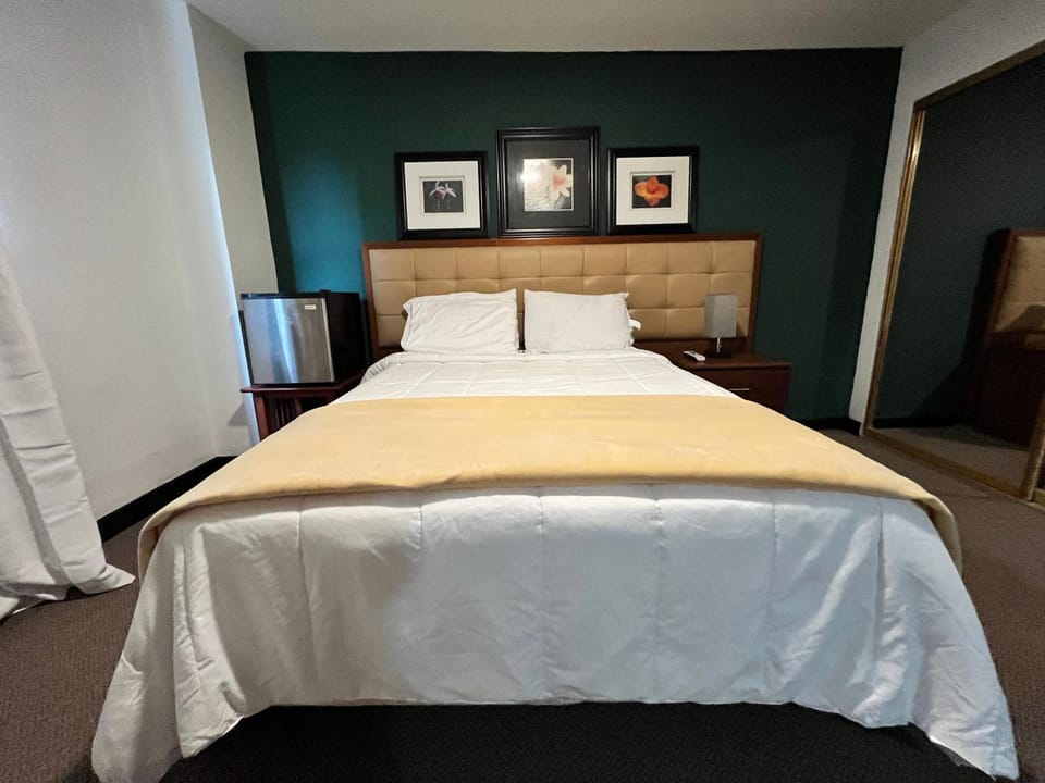 Bed, Photo of the whole room