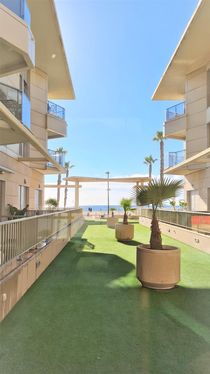 Property building, Garden, Beach