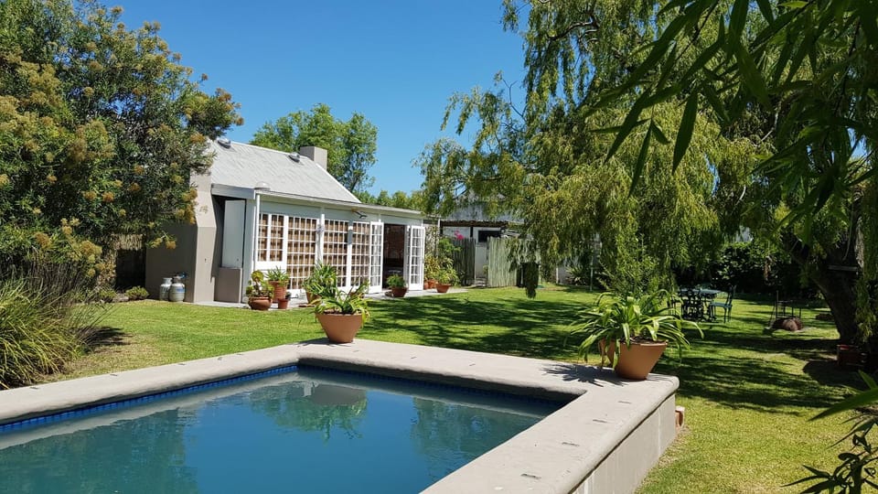 Garden, Swimming pool