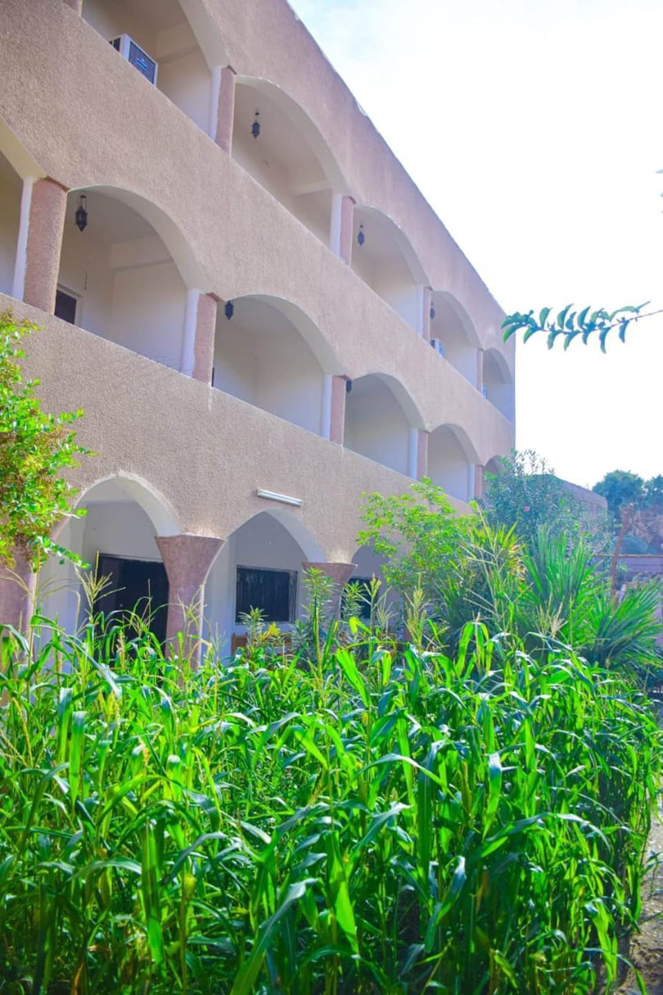 Property building, Garden