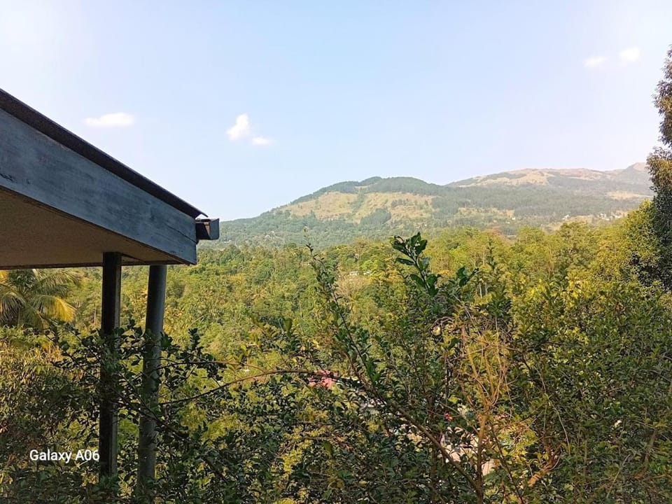 Natural landscape