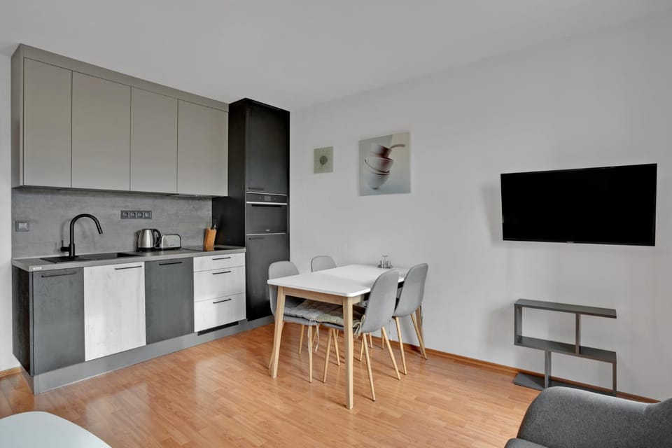 Mountain Apartment Klinovec Atomic Apartment in Erzgebirgskreis