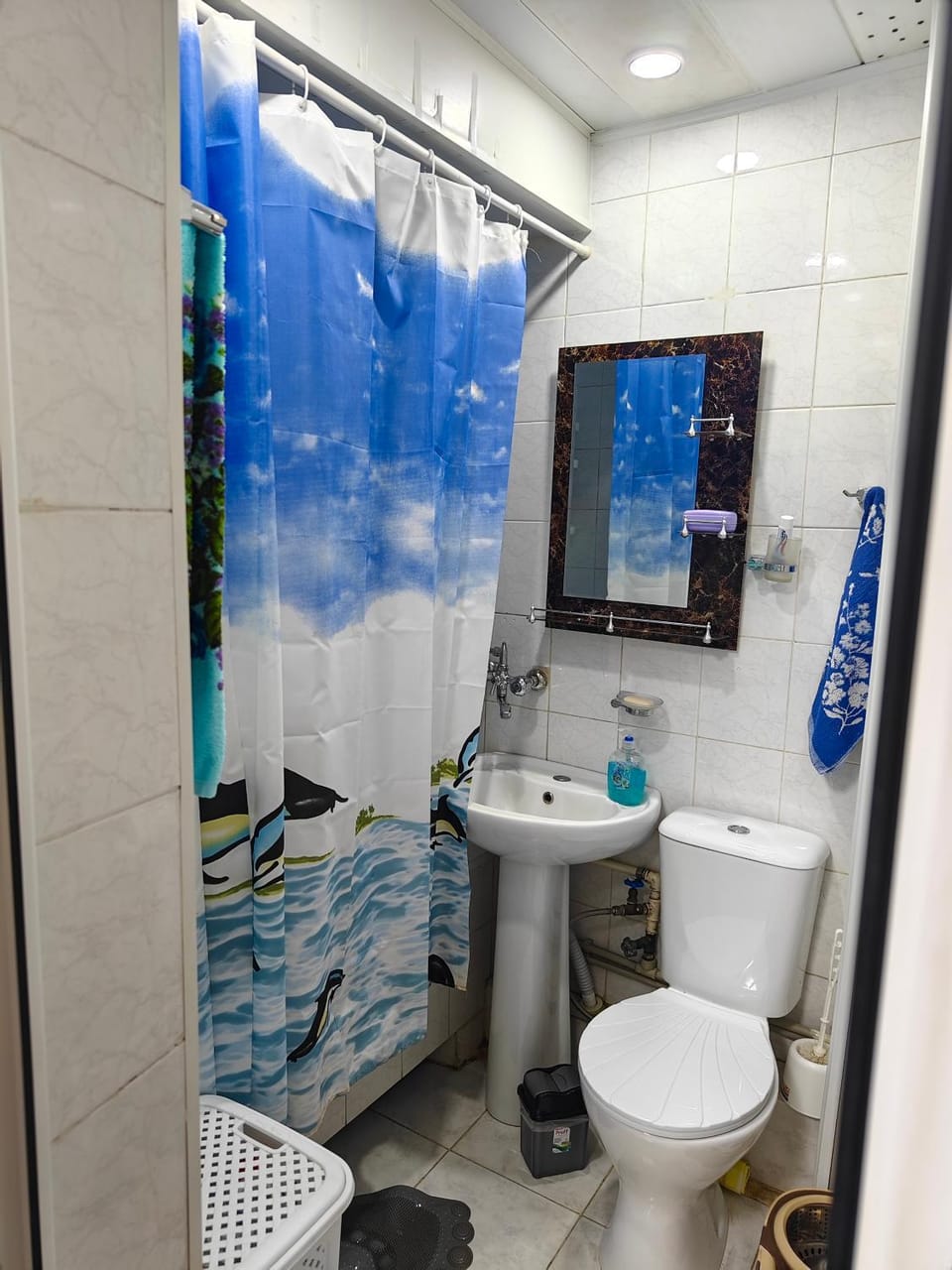 Toilet, Bathroom