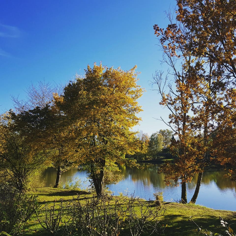 Natural landscape