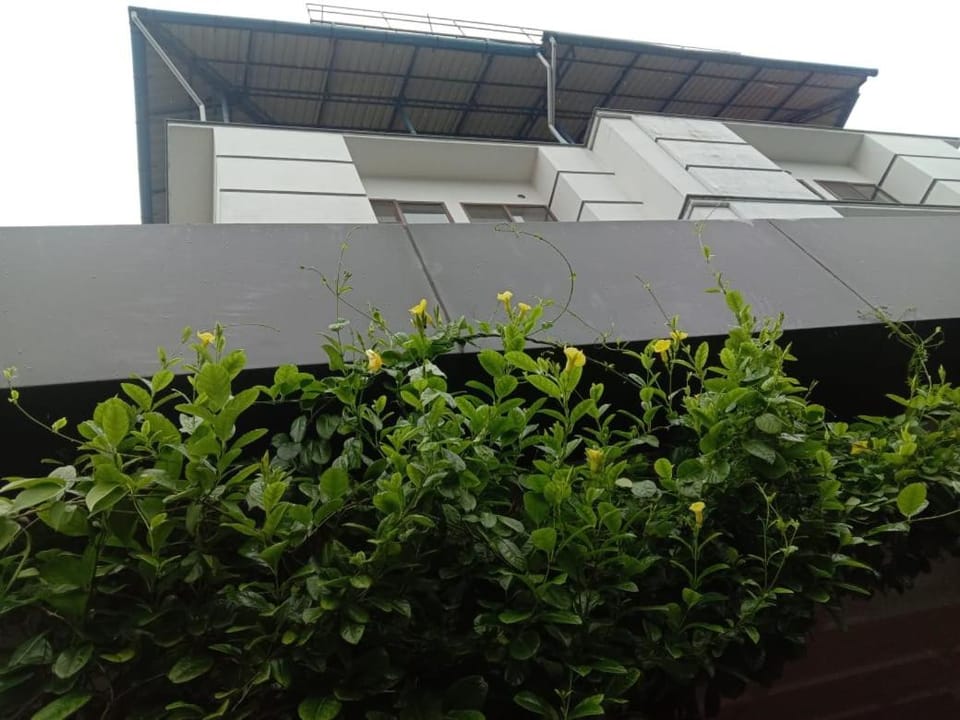 Property building, Day, Garden, Garden view