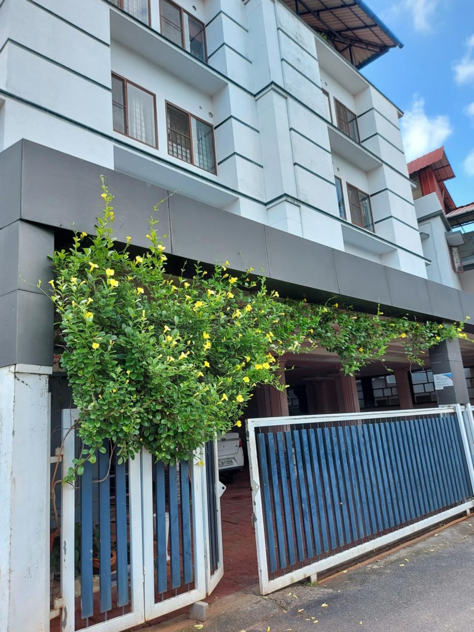 Property building, Day