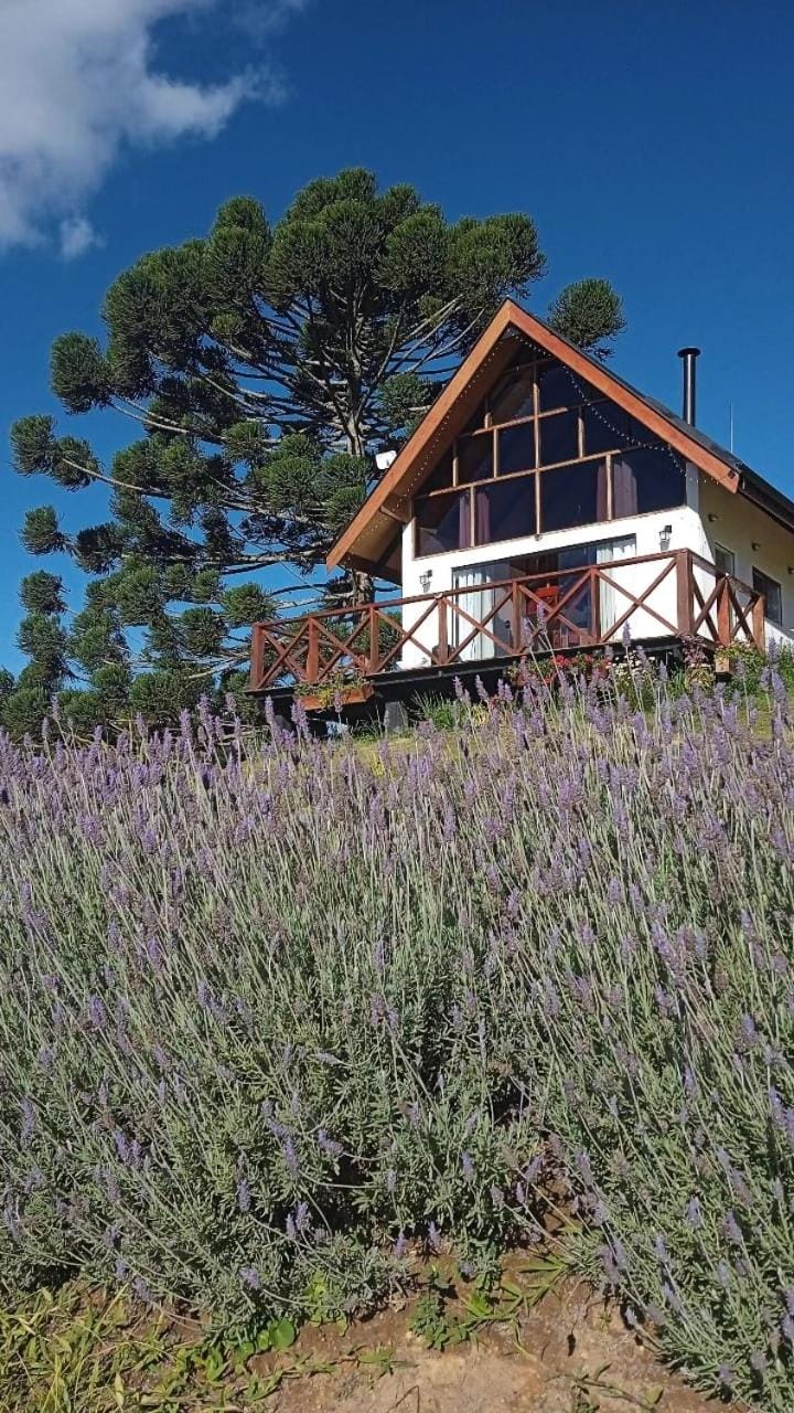 Chalé com vidros e hidromassagem Chalet in State of São Paulo