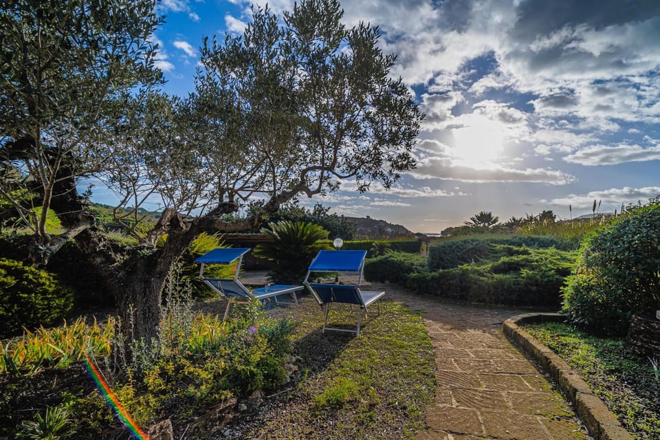 Day, Natural landscape, Garden, Garden view, sunbed