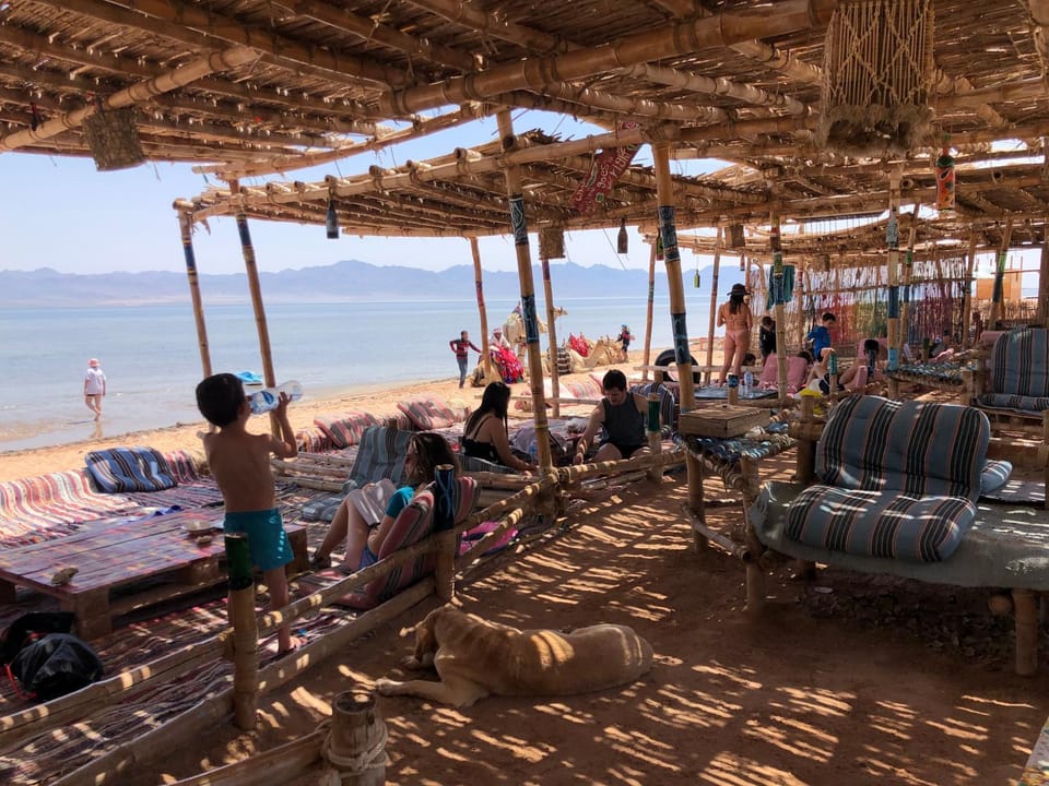 Lala Land Camp Campground/ 
RV Resort in South Sinai Governorate