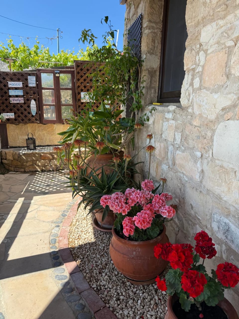 Spring, Day, Garden