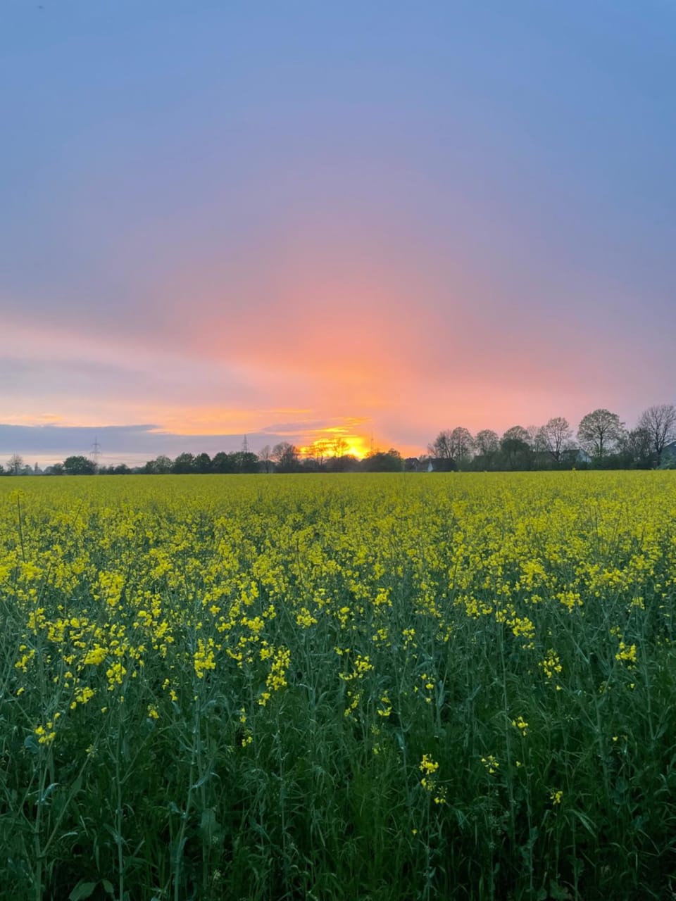Spring, Natural landscape