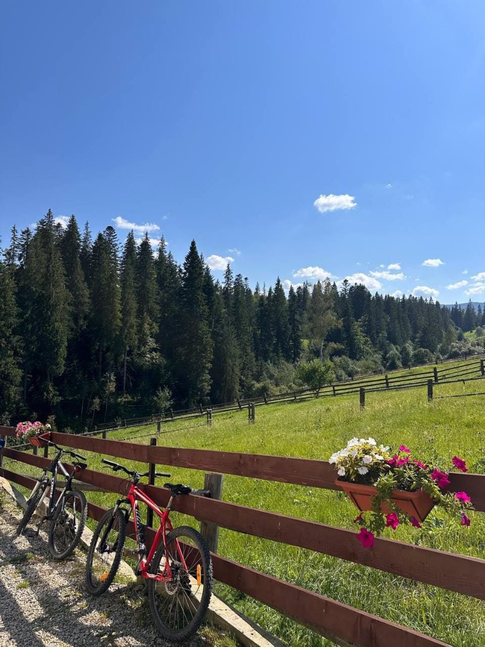 Spring, Day, Natural landscape