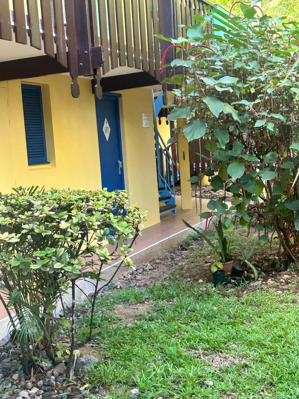 Garden, Garden view