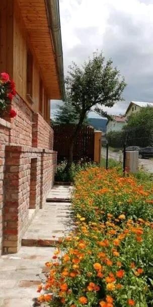 Casuta Azughia House in Prahova, Romania