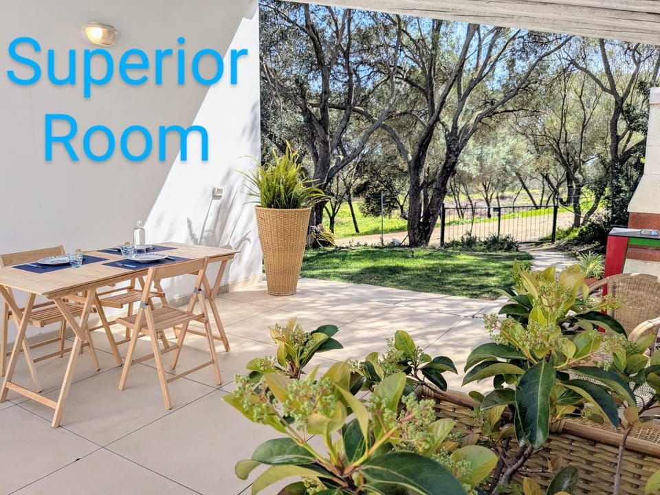 Patio, Garden, Dining area