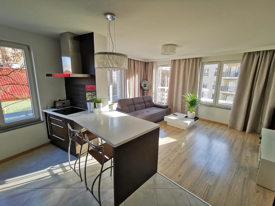 Living room, Seating area, Dining area, stove, toaster