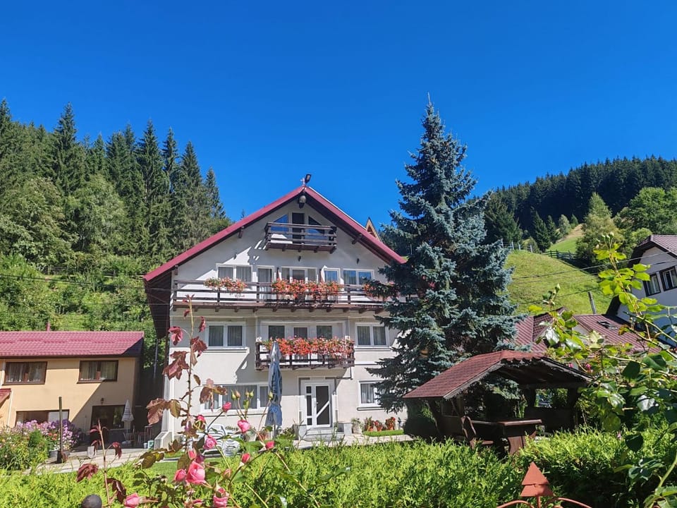 Property building, Day, Natural landscape, Garden view, Mountain view
