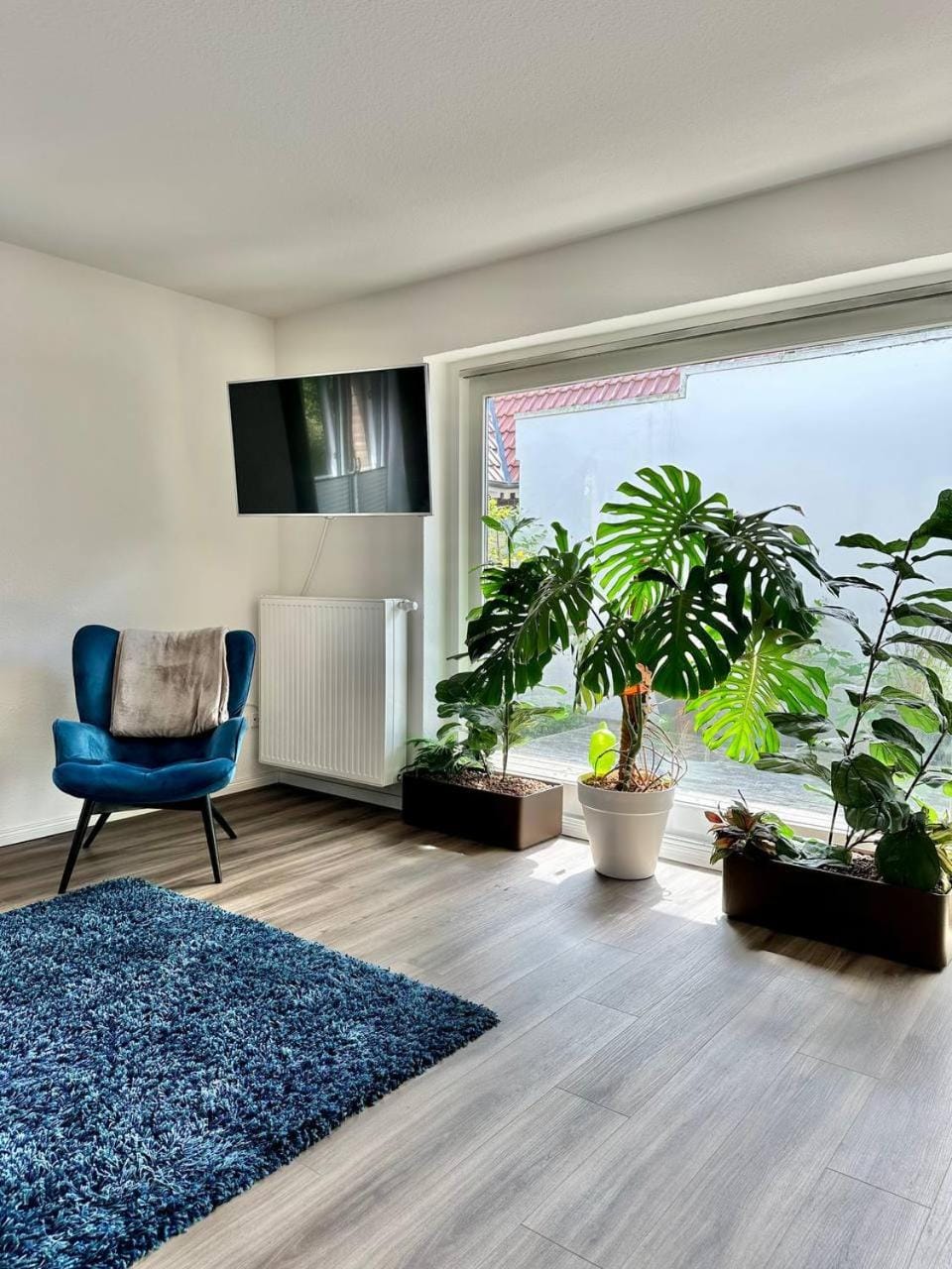 TV and multimedia, Living room, Seating area