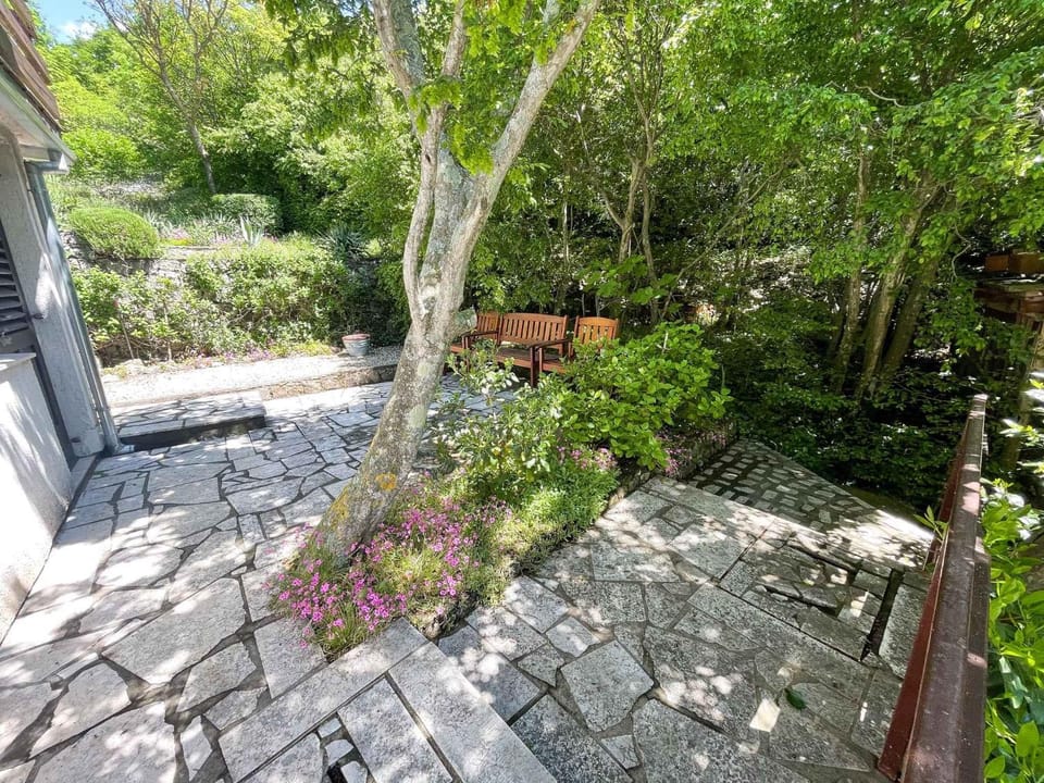 Summer, Garden