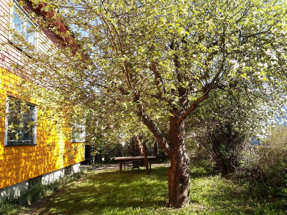 Garden, Garden view