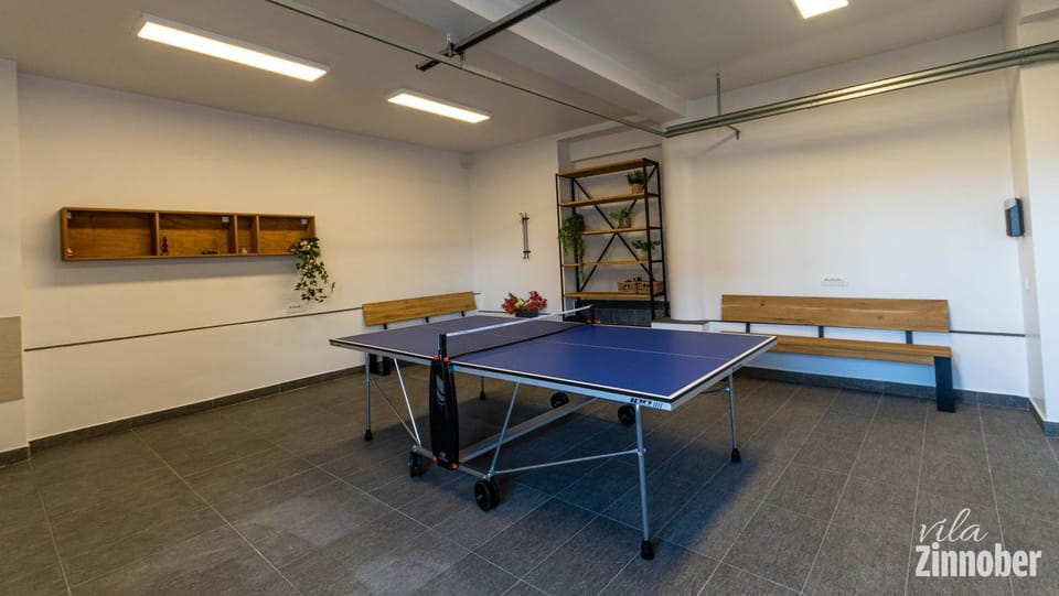 Vila Zinnober Bed and Breakfast in Brasov