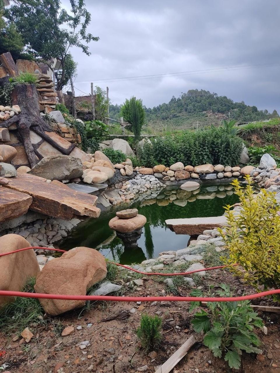 Garden view