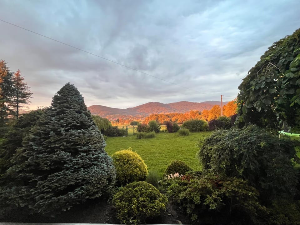 Garden view