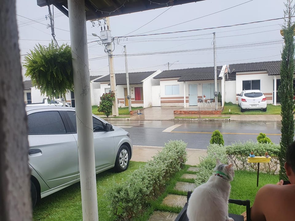 Day, Garden, Garden view, Street view