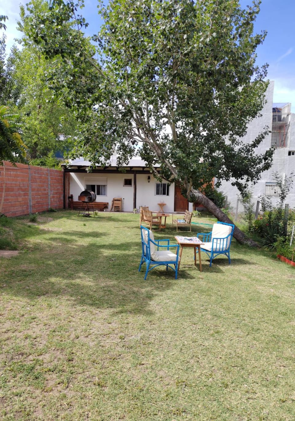 Patio, Day, Garden, Garden view
