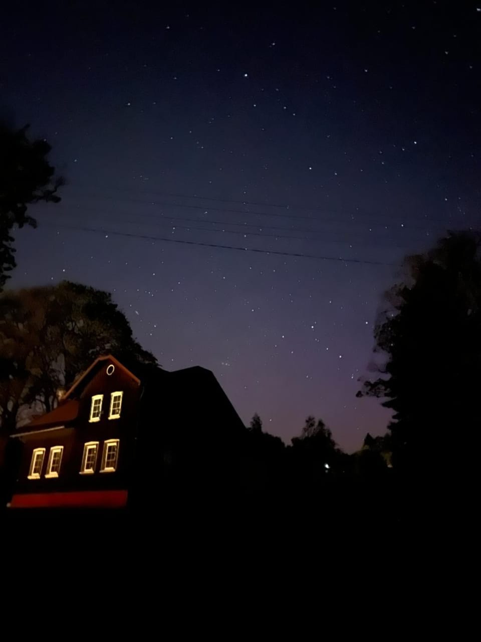 Night