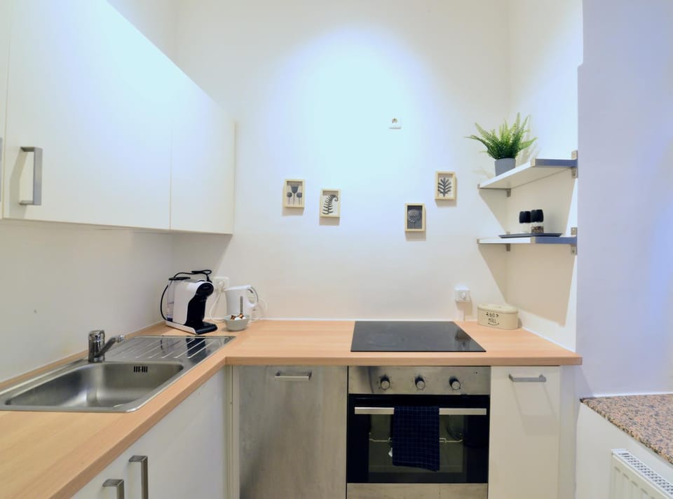 Perfect for Families and Mid-Term-Stays Apartment in Vienna