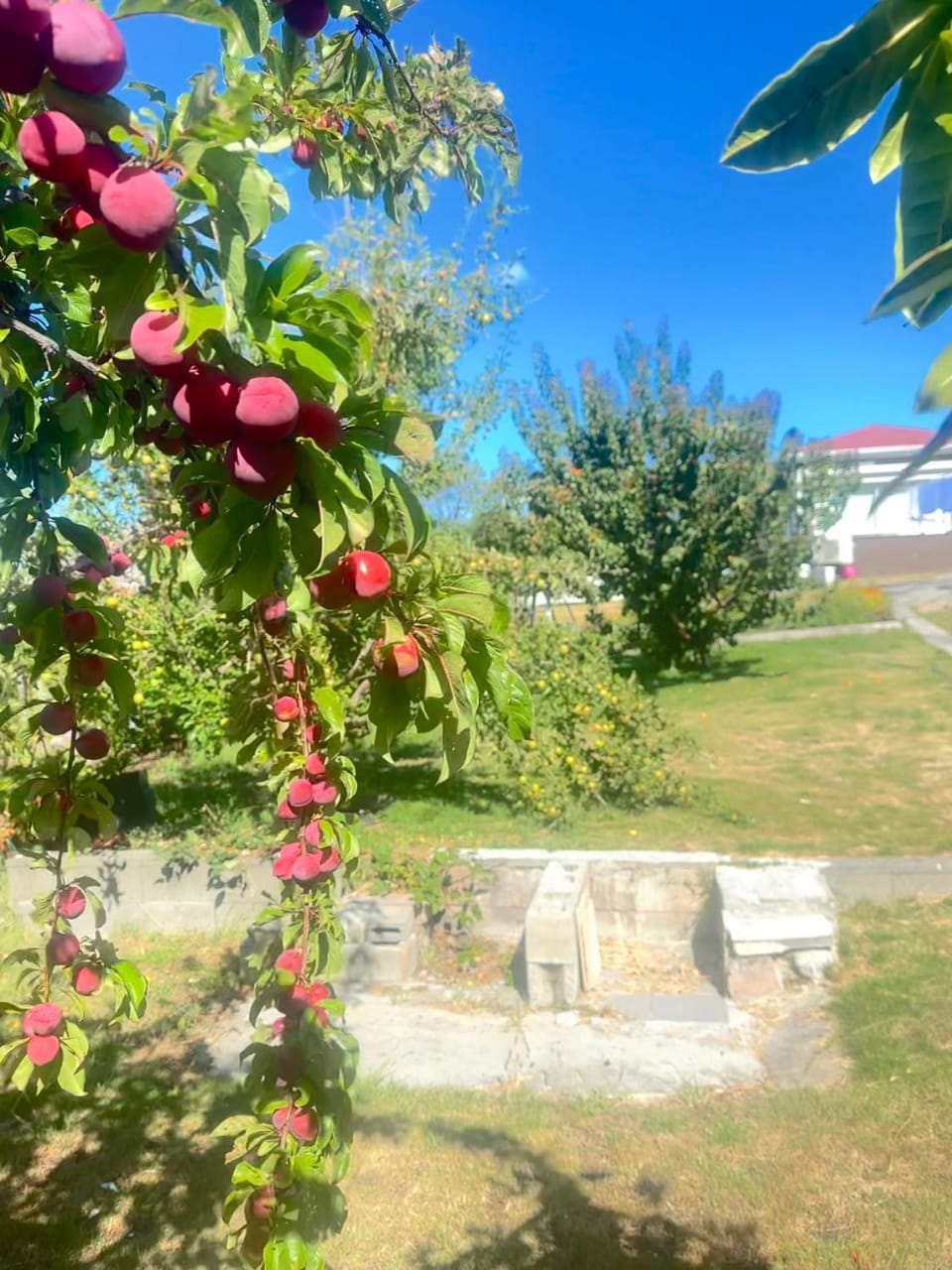 Rose Homey Home House in Glenorchy