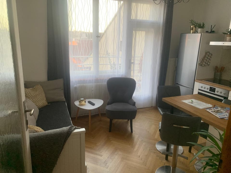 Anenska by Charles Bridge 1 Apartment in Prague