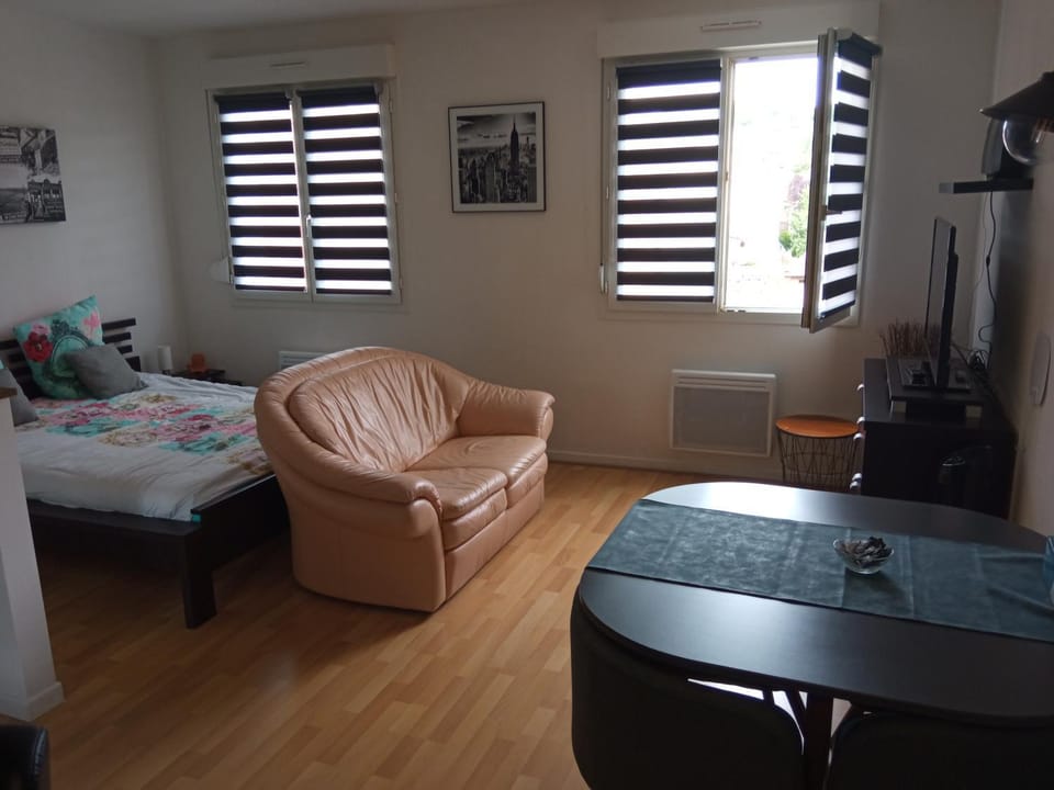 Charmant studio classé 3 étoiles au coeur de Niederbronn-les-Bains Apartment in Baden-Württemberg
