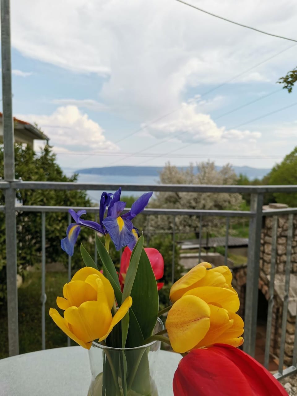 View (from property/room)