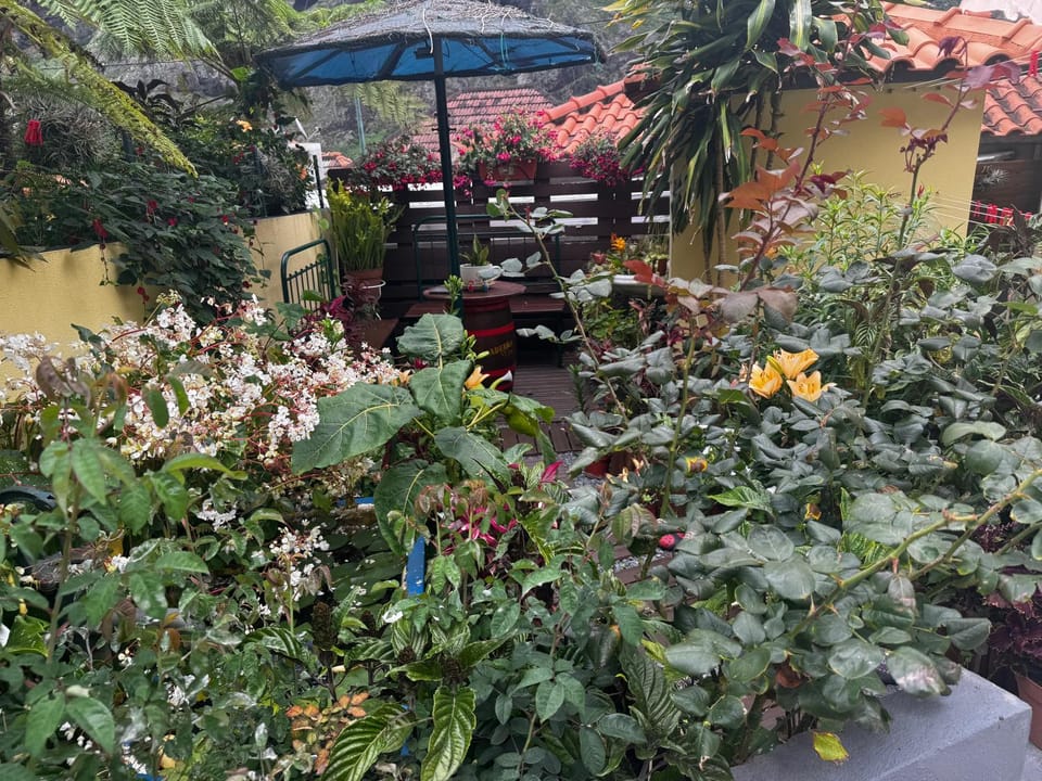 Terra Chã Cottage,FEEL Home, House in Madeira District